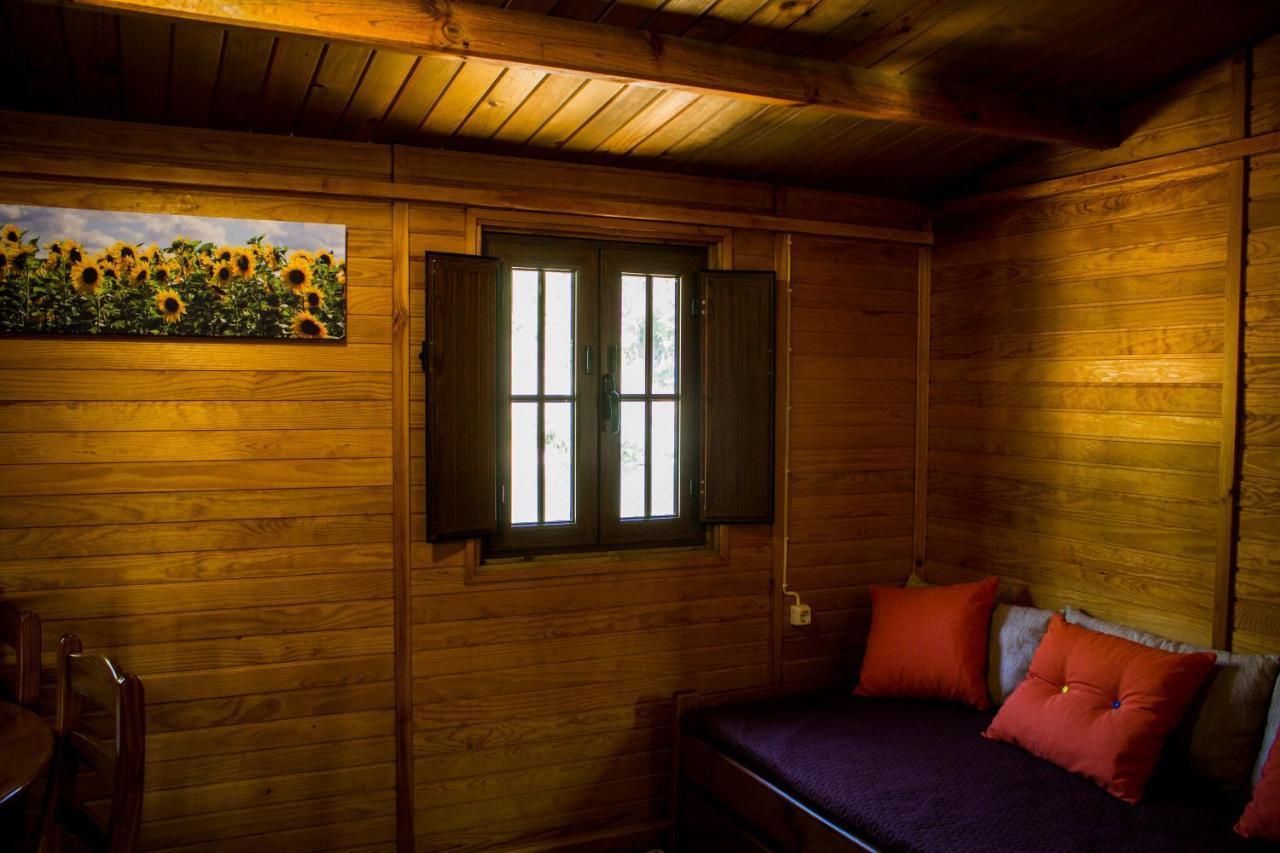 Xisto Camping Janeiro de Baixo Buitenkant foto