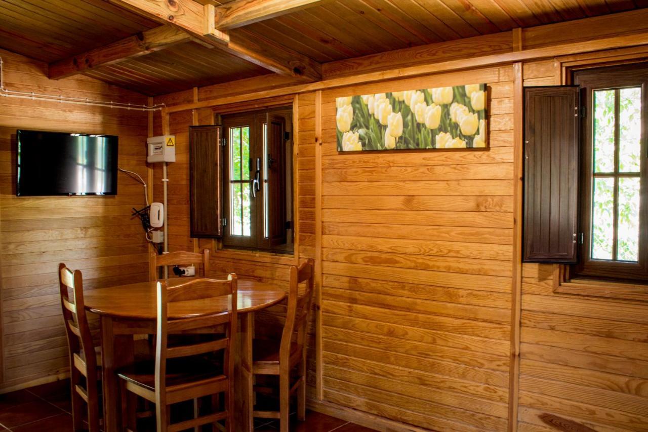 Xisto Camping Janeiro de Baixo Buitenkant foto