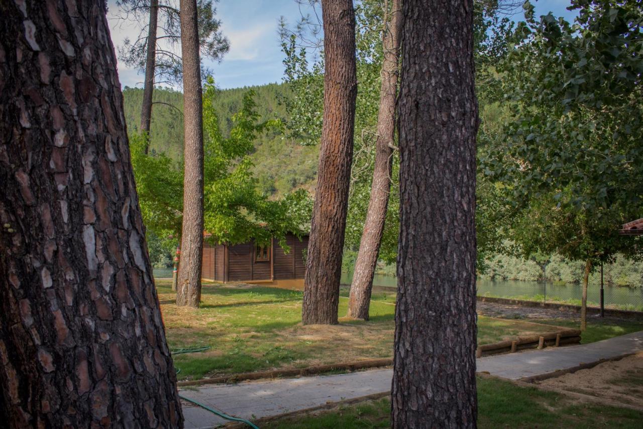 Xisto Camping Janeiro de Baixo Buitenkant foto