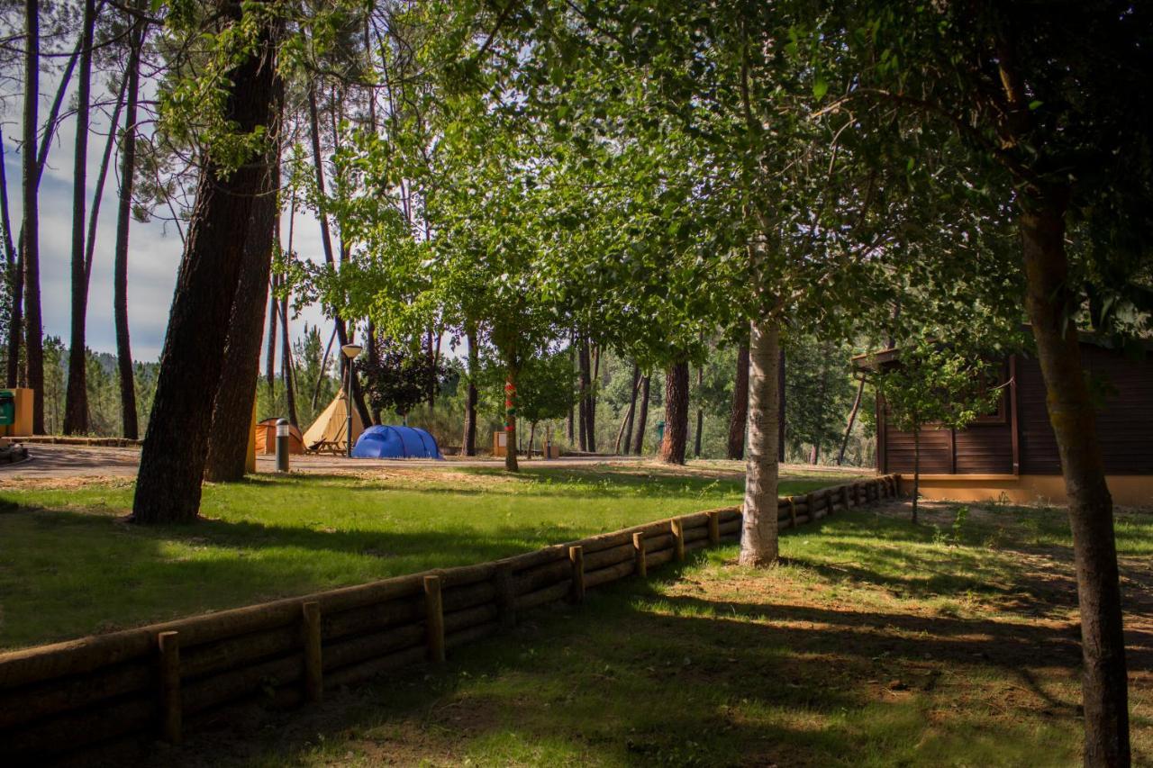 Xisto Camping Janeiro de Baixo Buitenkant foto